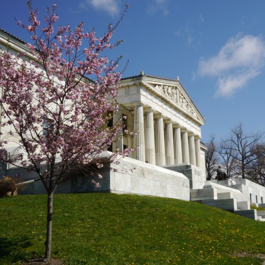 Cherry blossoms outside the Buffalo History Museum