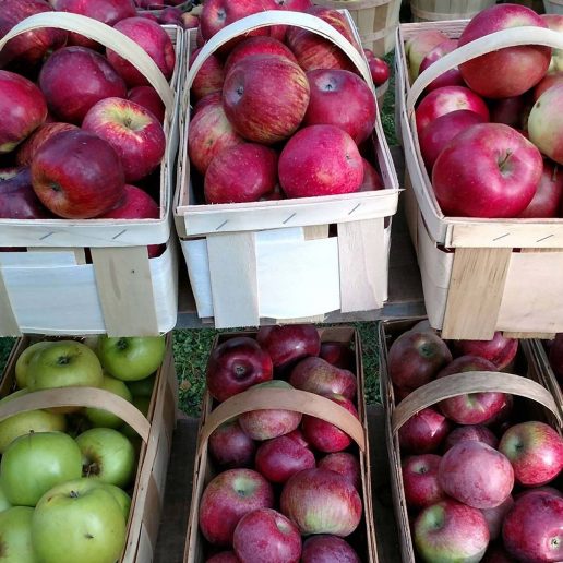 Baskets of apples at a farmers market