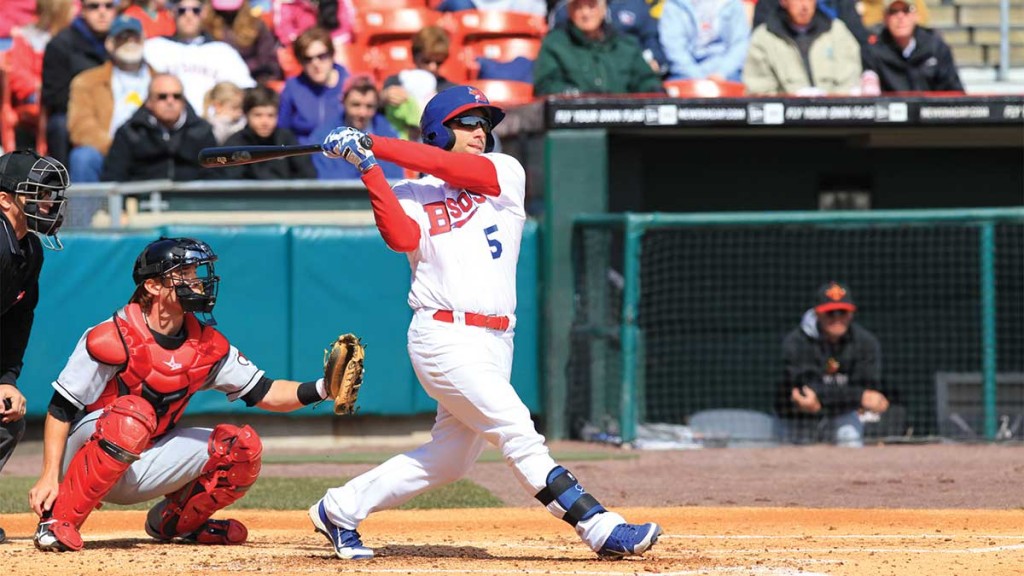 BuffaloBisons