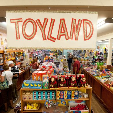 Vidler’s 5 & 10 toy shop