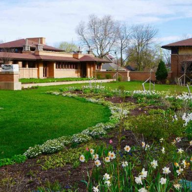 Frank Lloyd Wright's Martin House