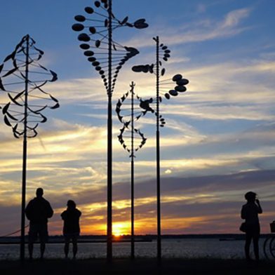 Outer Harbor Bike Path at sunset