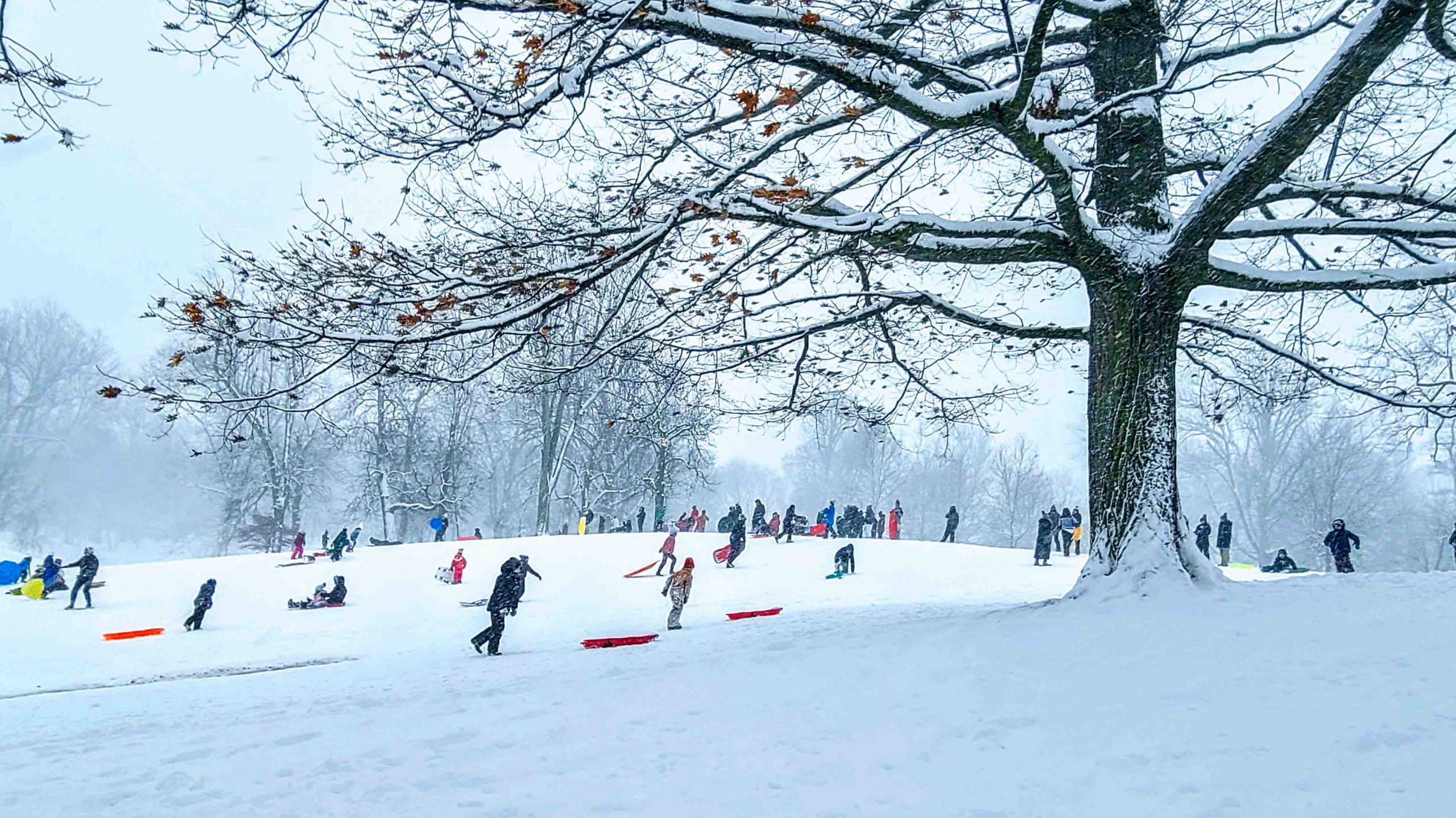 Sledding Hill_Photo by Annette Tiberi