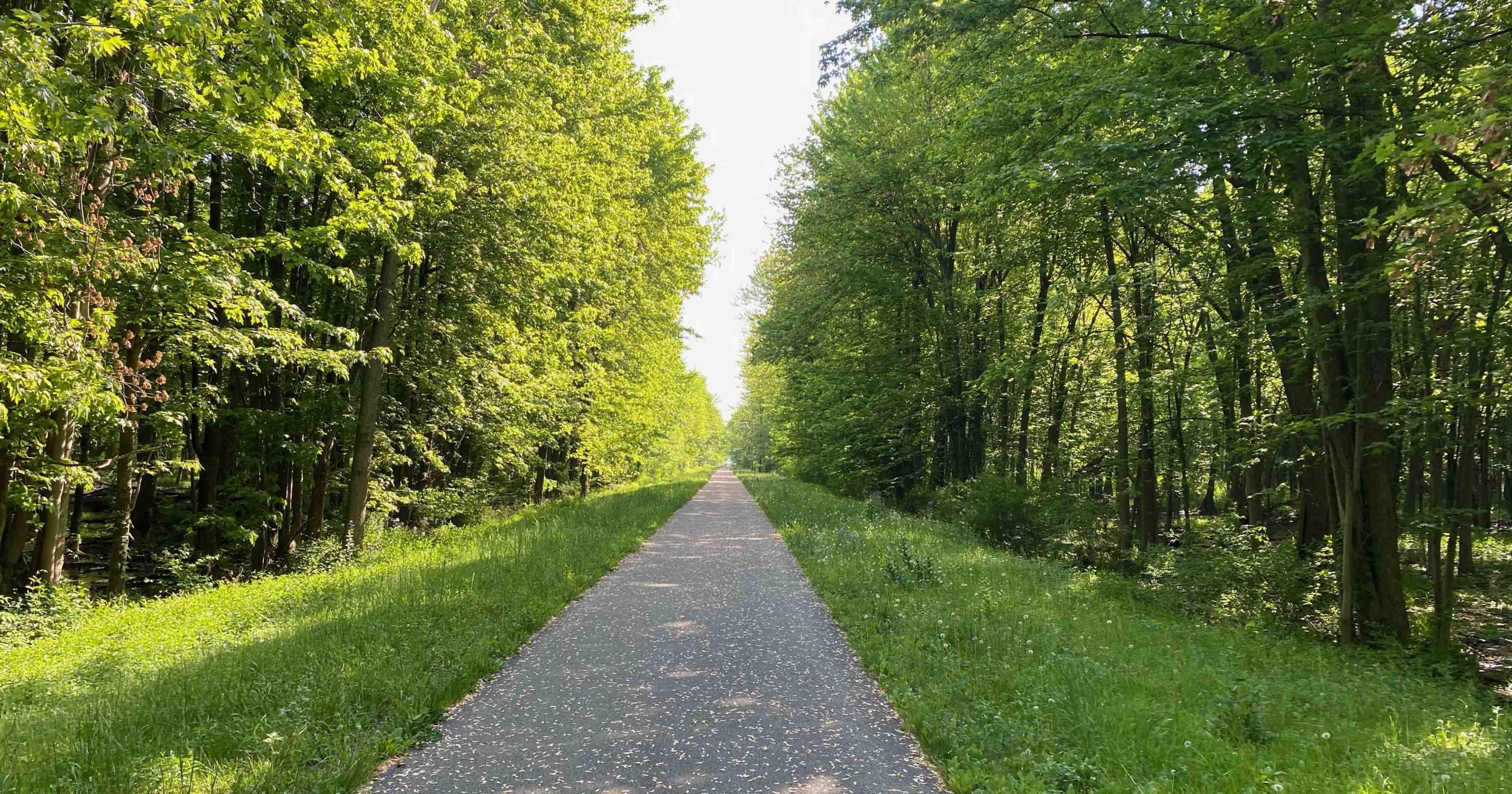 Clarence Bike Path-FB-Tim Marren