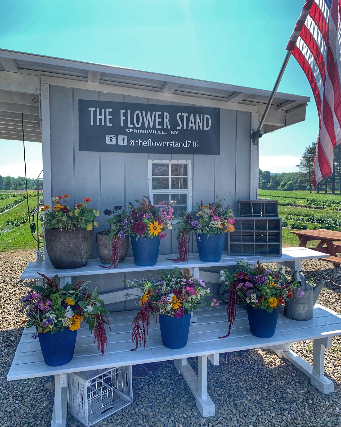 flower stand-8