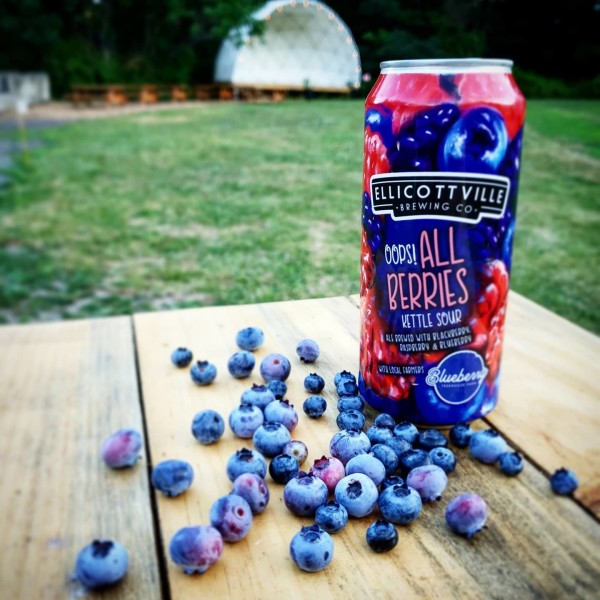 blueberry-beer_31A6FBB1-5056-BF65-D6B8B50C6583046F-31a6fada5056bf6_31a70387-5056-bf65-d60c702bd59d37bf